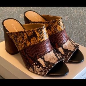 Gibson Latimer Mules - Size 7 - NEW!